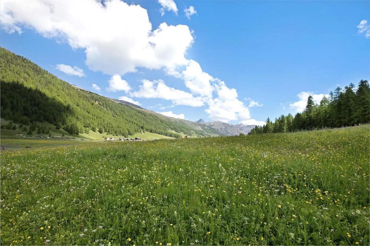 Agriturismo Bosco D'Oro 4 Apartment Livigno Italy